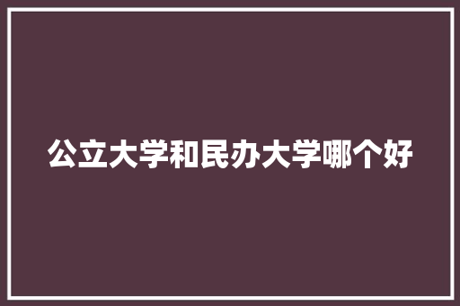 公立大学和民办大学哪个好