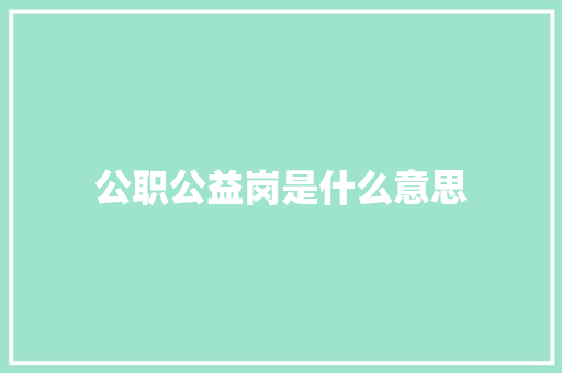 公职公益岗是什么意思