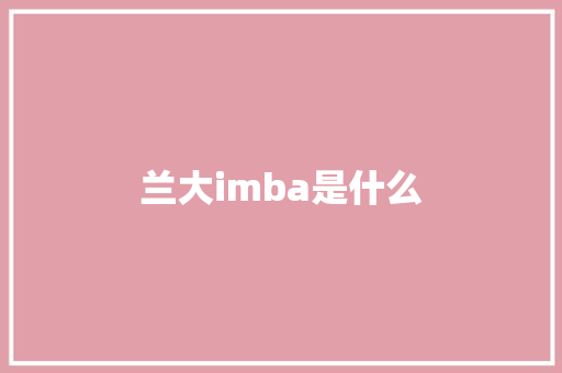 兰大imba是什么 商业计划书范文