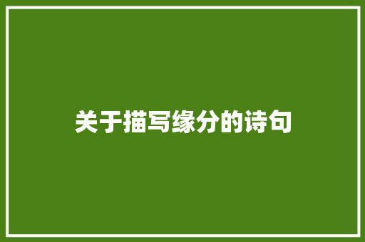 关于描写缘分的诗句