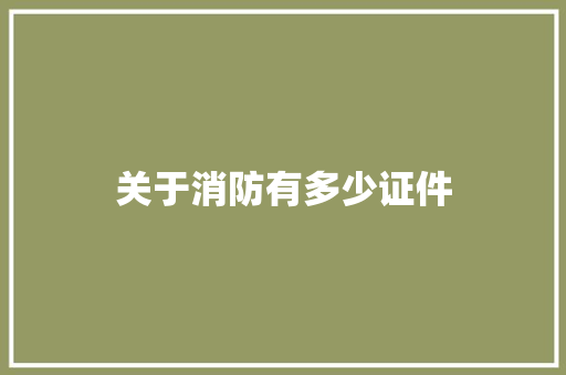 关于消防有多少证件