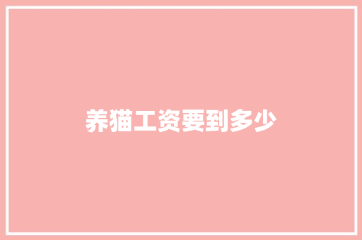 养猫工资要到多少
