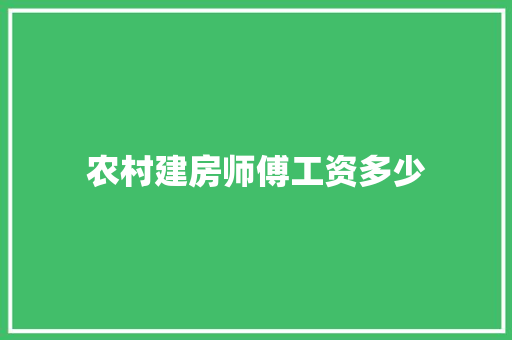 农村建房师傅工资多少