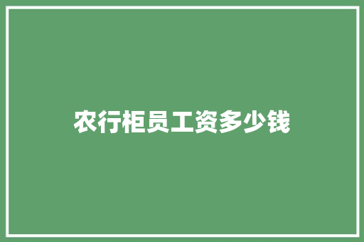 农行柜员工资多少钱 演讲稿范文