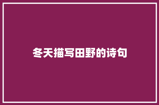冬天描写田野的诗句