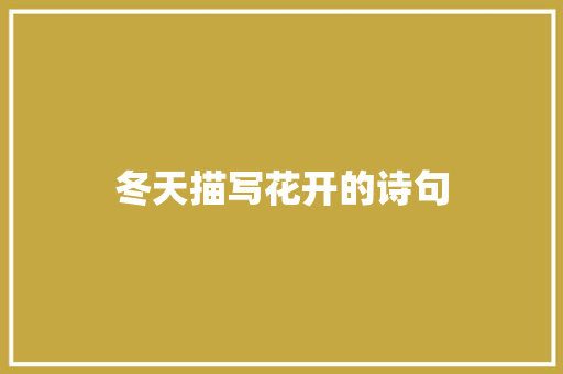 冬天描写花开的诗句