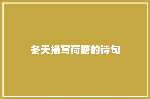 冬天描写荷塘的诗句