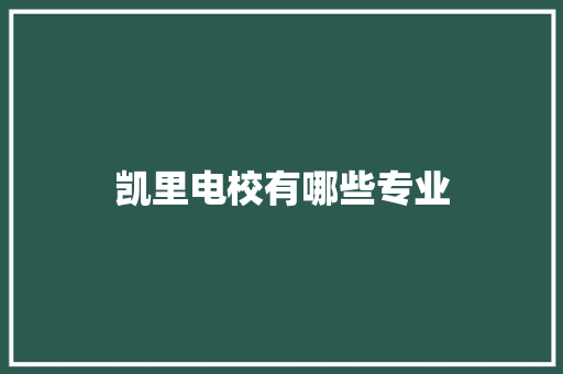 凯里电校有哪些专业 商业计划书范文