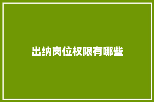 出纳岗位权限有哪些 散文范文