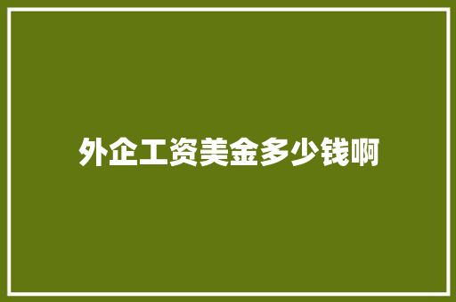 外企工资美金多少钱啊