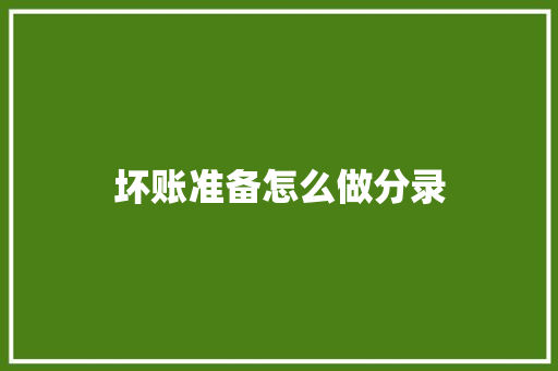 坏账准备怎么做分录