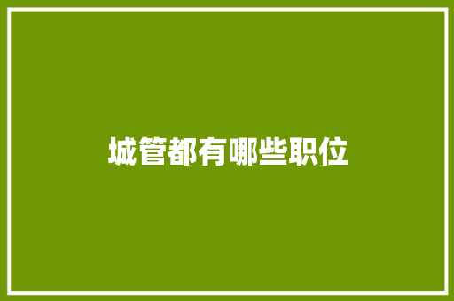 城管都有哪些职位