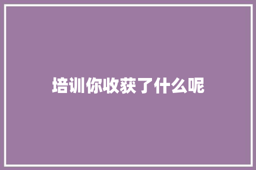 培训你收获了什么呢