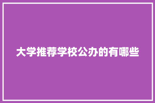 大学推荐学校公办的有哪些