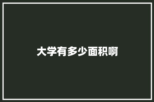 大学有多少面积啊