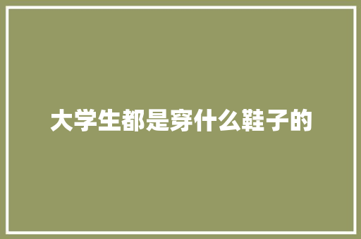 大学生都是穿什么鞋子的