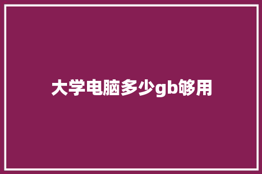 大学电脑多少gb够用