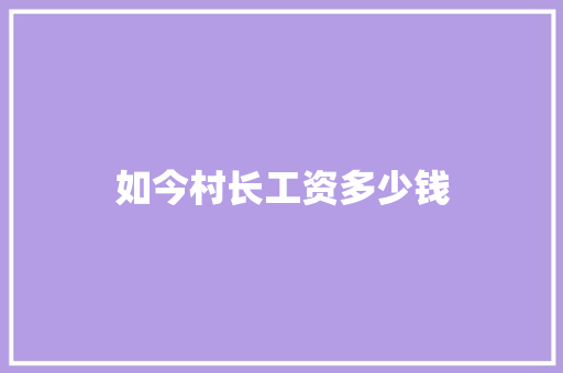 如今村长工资多少钱