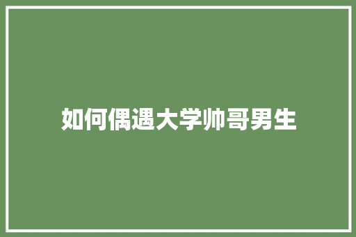 如何偶遇大学帅哥男生 说明文范文