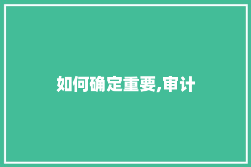 如何确定重要,审计 记叙文范文