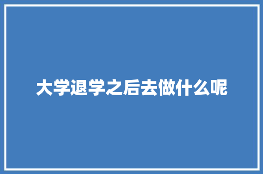 大学退学之后去做什么呢
