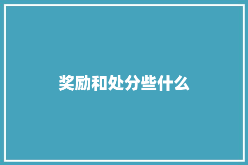 奖励和处分些什么