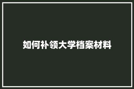 如何补领大学档案材料