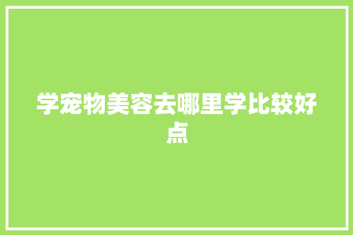 学宠物美容去哪里学比较好点