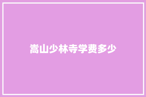 嵩山少林寺学费多少
