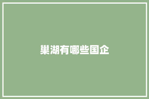 巢湖有哪些国企