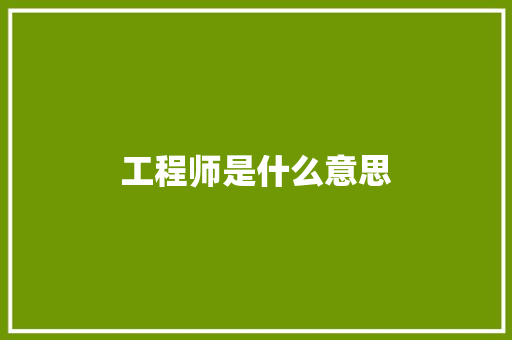 工程师是什么意思 应用文范文