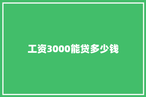 工资3000能贷多少钱 商业计划书范文