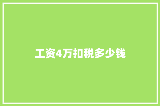 工资4万扣税多少钱