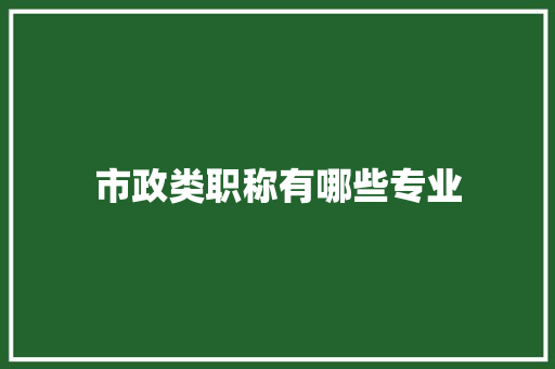 市政类职称有哪些专业