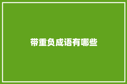 带重负成语有哪些