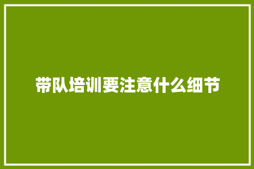 带队培训要注意什么细节