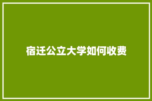 宿迁公立大学如何收费