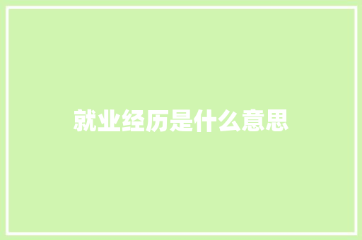 就业经历是什么意思