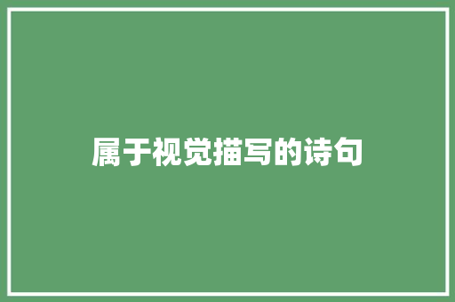属于视觉描写的诗句