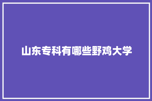 山东专科有哪些野鸡大学