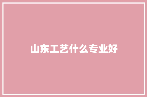 山东工艺什么专业好
