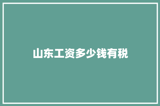 山东工资多少钱有税
