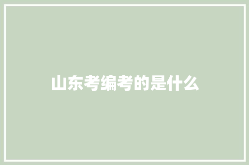 山东考编考的是什么