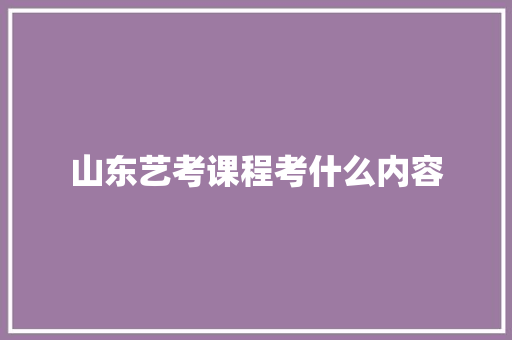 山东艺考课程考什么内容