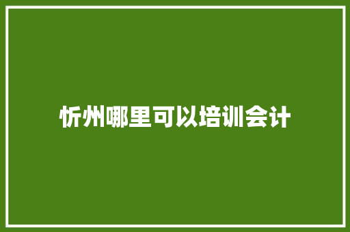 忻州哪里可以培训会计 记叙文范文