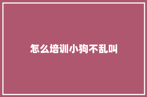 怎么培训小狗不乱叫