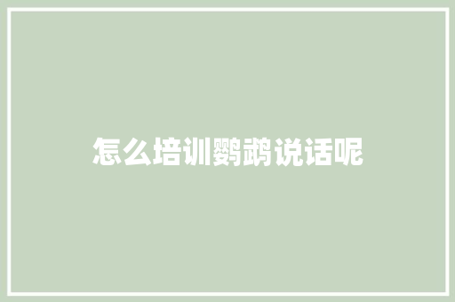 怎么培训鹦鹉说话呢