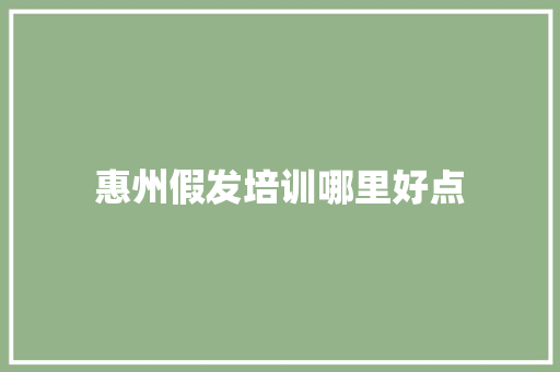 惠州假发培训哪里好点