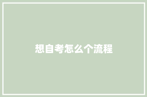 想自考怎么个流程