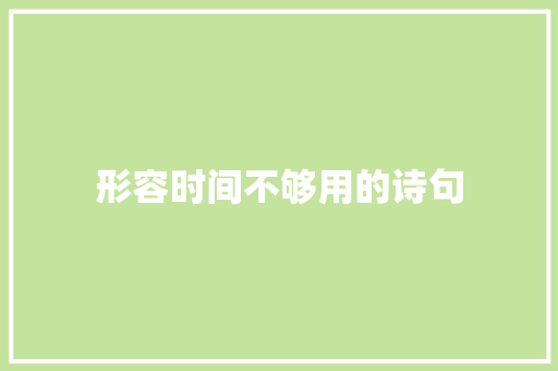 形容时间不够用的诗句